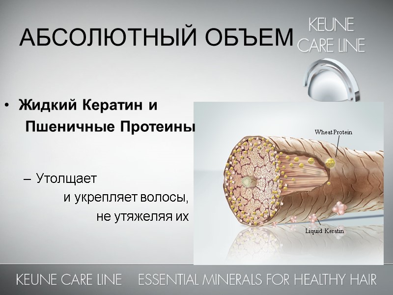 АБСОЛЮТНЫЙ ОБЪЕМ    Жидкий Кератин и      